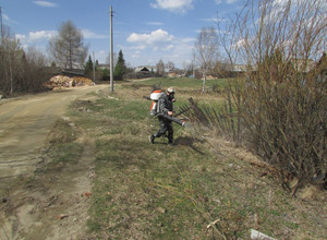 Противоклещевая обработка садовых участков в Новоуральске в 2017 году
